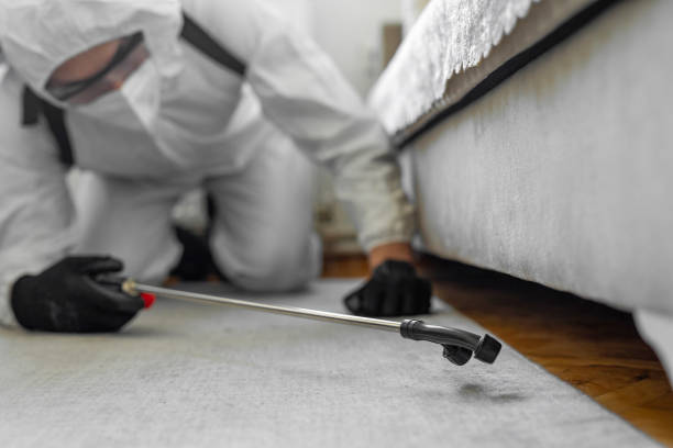 Professional Bed Bug Control technician working in Lowndes County County, AL